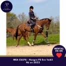 4 ans top mental et locoomotion plaisante