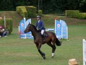 Cheval de sport CSO (Amateur/pro)