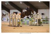 Cheval de sport CSO (Amateur/pro)