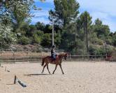 &Agrave; vendre : D.M. Magellan 