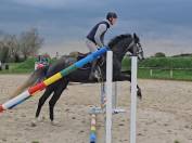 Jument de 5 ans selle fran&ccedil;ais