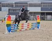 Jument de 5 ans selle fran&ccedil;ais