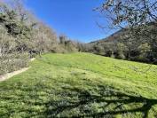 Propri&eacute;t&eacute; dans la Dr&ocirc;me de 15 hectares avec grand g&icirc;te