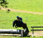 Jument Welsh K 6 ans