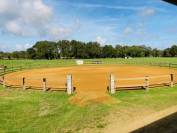 Propose pension cheval en autogestion