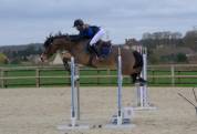 &Agrave; VENDRE : super poney D 