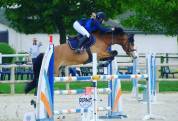 &Agrave; VENDRE : super poney D 