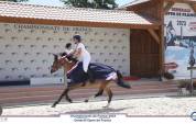&Agrave; VENDRE : super poney D 