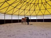 Coworking &eacute;questre