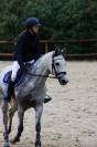 Poney D a vendre