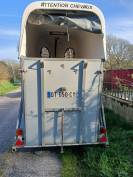 Vente van cheval libert&eacute; 