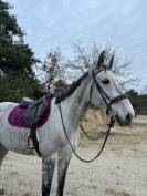 ✨ Good News de Meslay ✨