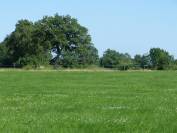 Propri&eacute;t&eacute; &eacute;questre 