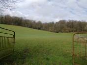 haras d'&eacute;levage 30ha