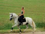 Pension travail - &eacute;ducation - d&eacute;bourrage