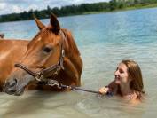 Demi-pension jument pur sang anglais 9 ans 1m60