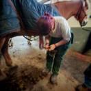 Recherche d'un patron en mar&eacute;chalerie.