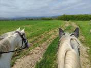 Monitrice d'&eacute;quitation ind&eacute;pendante