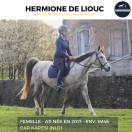 HERMIONE DE LIOUC - AR - 9 ANS 