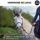 HERMIONE DE LIOUC - AR - 9 ANS 