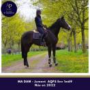 Mare AQPS For sale 2022 Bay