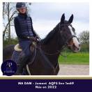 Mare AQPS For sale 2022 Bay