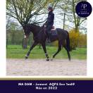 Mare AQPS For sale 2022 Bay