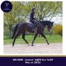 Mare AQPS For sale 2022 Bay