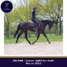 Mare AQPS For sale 2022 Bay