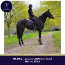 Mare AQPS For sale 2022 Bay