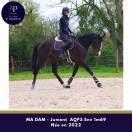 Mare AQPS For sale 2022 Bay