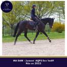 Mare AQPS For sale 2022 Bay