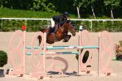 Poney de Grand prix/ Grand prix excellence 