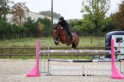 Poney de Grand prix/ Grand prix excellence 