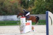 Poney de Grand prix/ Grand prix excellence 