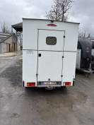 Camion chevaux Opel Movano