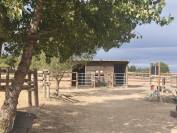 &Eacute;curies de propri&eacute;taires Montpellier 