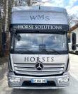 MERCEDES-BENZ ATEGO 1223 WMS POP OUT