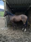 SF ENTIER PAR QUEL HOMME DE HUS 