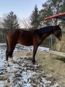 SF ENTIER PAR QUEL HOMME DE HUS 