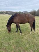 SF ENTIER PAR QUEL HOMME DE HUS 