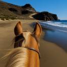 Gu&iacute;a y monitor de equitaci&oacute;n