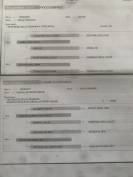 A vendre poulini&egrave;re 10 ans pleine 