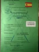 Saillie Pure Race Espagnole