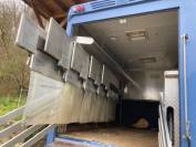 Cami&oacute;n para caballos Renault 44HH1 2011 De segunda mano