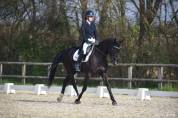 Vends superbe Jument dressage et cso