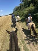 Luxurious equestrian property  Eure