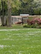 Luxurious equestrian property  Eure