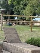 Luxurious equestrian property  Eure