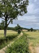 &Eacute;curie de propri&eacute;taire 